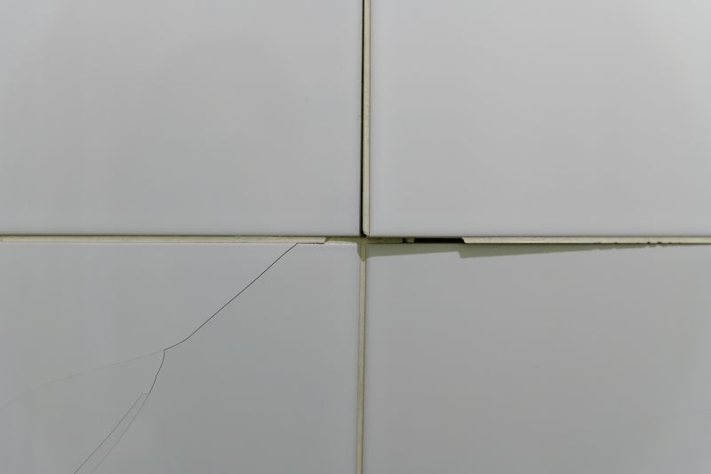 Tile Repair